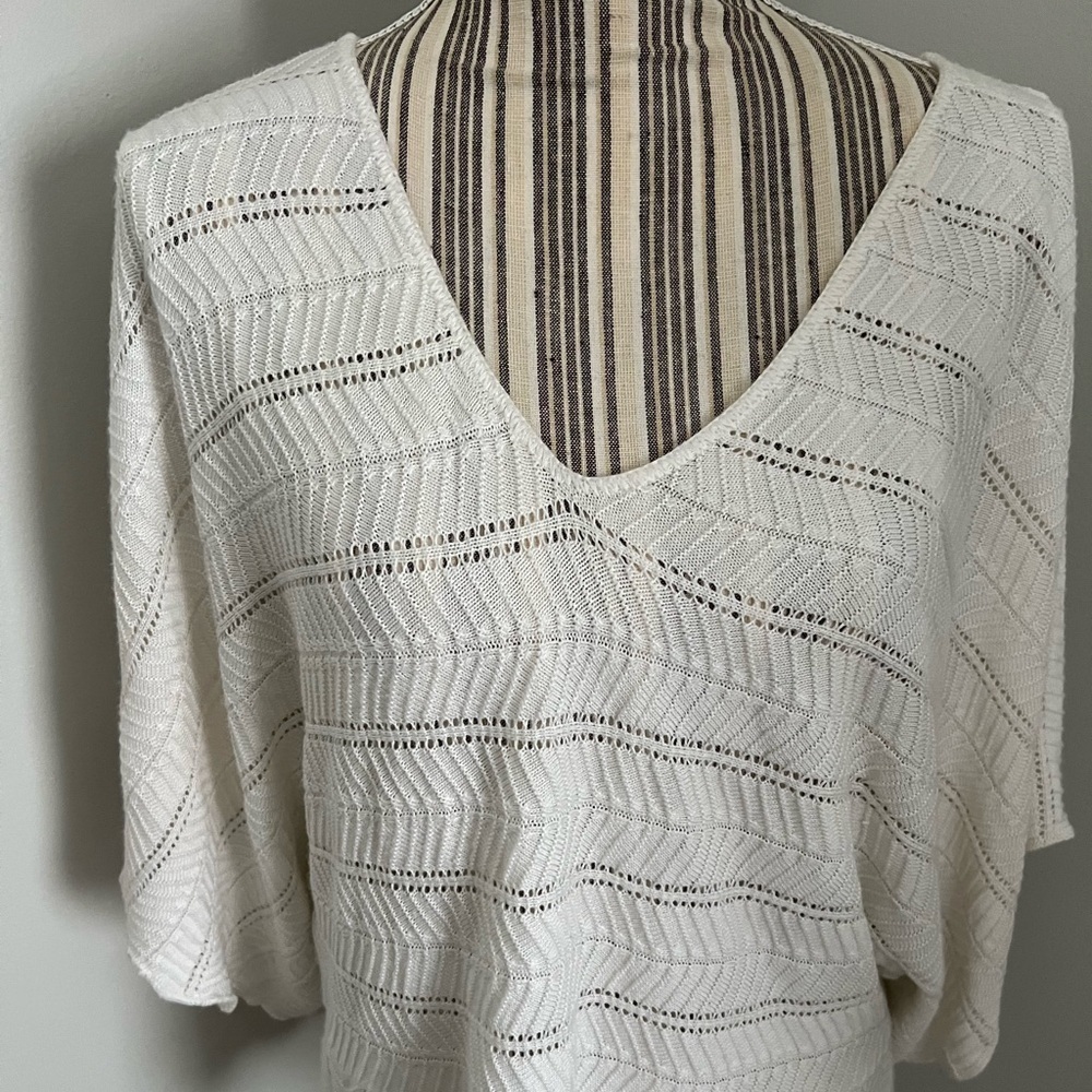 Ashley Stewart Sweater Size 18/20
